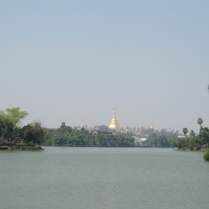 Η ειδυλλιακή αυτή λίμνη είναι στο κέντρο της πρωτεύουσας, το βάθος η Shwedagon Paya..