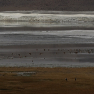 Η λίμνη Tso Kar (άσπρη λίμνη) απο το άσπρο χρώμα που έχει λόγω του πολύ ορυκτού αλατιού