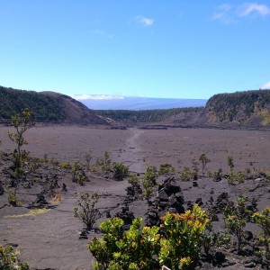 Kilauea Iki Trail 1