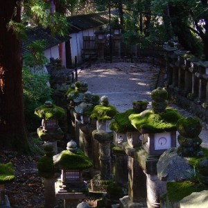 Kasuga shrine στην Nara