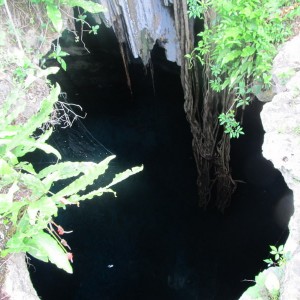 Cenotes entry