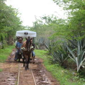 Merida, cenotes road