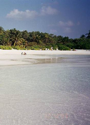 Μαλδίβες νησί Παρανταίς