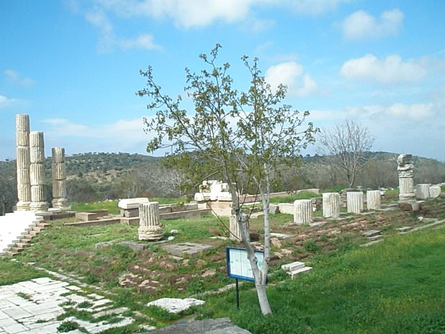 Ναός του Απόλλωνα του Σμινθίου