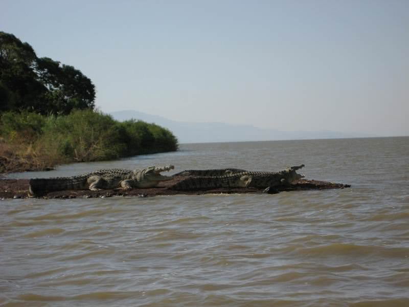 Νότια Αθιοπία- λίμνη Chamo