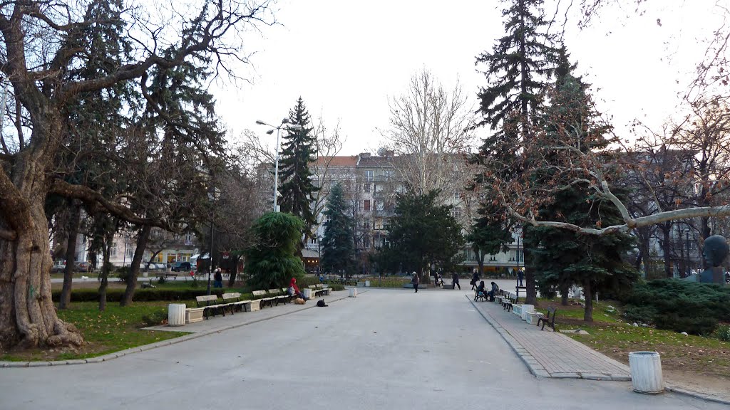 103783463.jpg