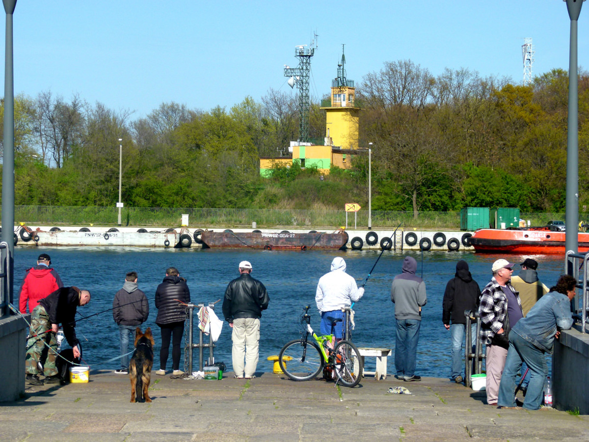 16044-1403459076-cb2adfaaebdb0736a820fbd77f7a59cd.jpg