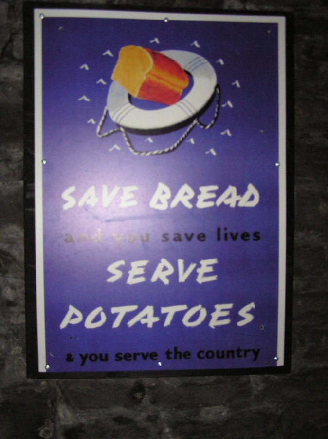 19696-1412509103-1722bc9639123cb2ea94ffb831257347.jpg