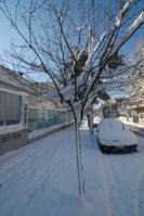 DSC_8836.JPG