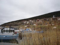 DSC03103.jpg