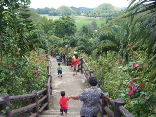 amedia_cdn.tripadvisor.com_media_photo_s_01_81_ab_25_bohol_island.jpg