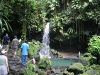 Dominica_dive_025_sized.jpg