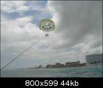 aimg205.imageshack.us_img205_7448_cancoon.th.jpg aimg205.imageshack.us_img205_7448_cancoon.th.jpg