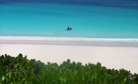 bahamas-pink_sands.jpg