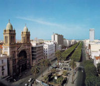 1564-5706-16airtunis.jpg