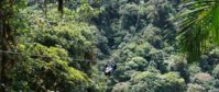 canopy-tour-costa-rica.jpg