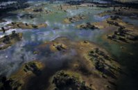 okavango delta.jpg