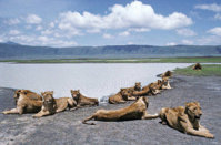 ngorongoro.jpg