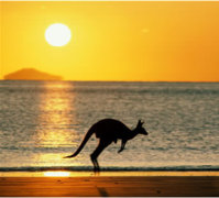 australia_kangaroo.jpg