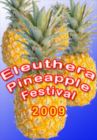 pineapple-fest09.jpg