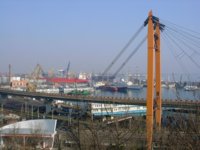 DSC05788.jpg