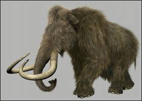 as.enet.gr_resources_2009_08_woolly_mammoth_thumb_small.jpg as.enet.gr_resources_2009_08_woolly_mammoth_thumb_small.jpg