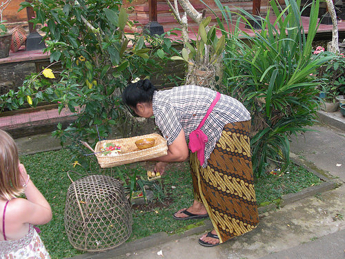 afarm4.static.flickr.com_3525_3877657192_5b36a9cc26.jpg