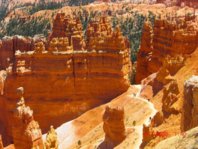 Bryce resized.jpg