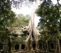 angkor1.JPG