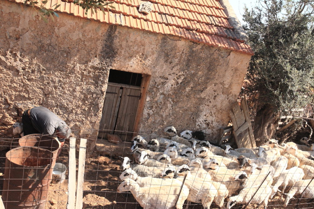 awww.neanap.gr_emags_chania_004.JPG
