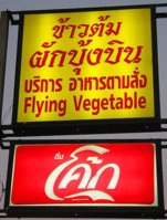 fly vegetable.jpg