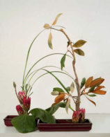 ikebana.jpg