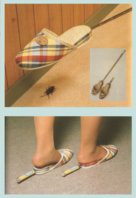 cockroach-swatting-slippers.jpg