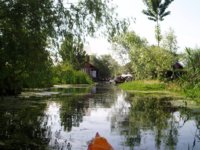 Dal lake 28.jpg