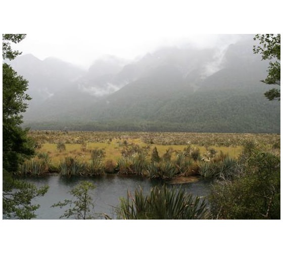 acache.virtualtourist.com_4818257_Things_To_Do_Milford_Sound.jpg