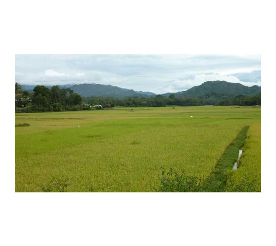 acache.virtualtourist.com_4883369_Things_To_Do_Rantepao.jpg
