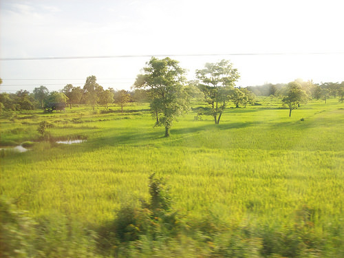 afarm5.static.flickr.com_4090_5053985364_5a6ae7ed92.jpg