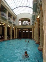 DSC07604.jpg