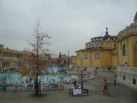 DSC07995.jpg