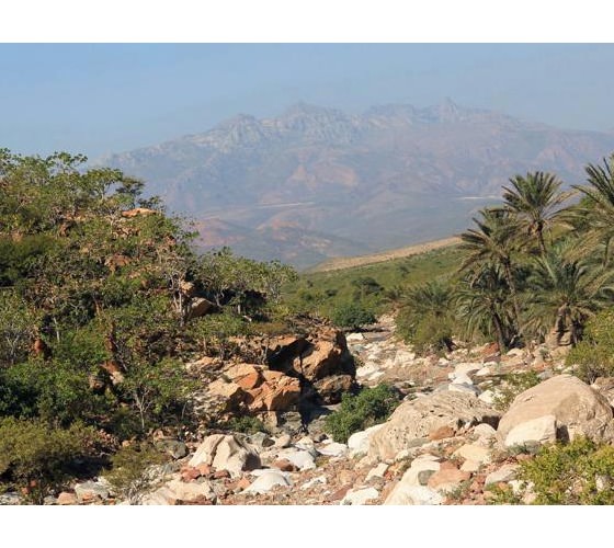 acache.virtualtourist.com_5031637_Things_To_Do_Socotra.jpg