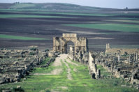 volubilis.jpg