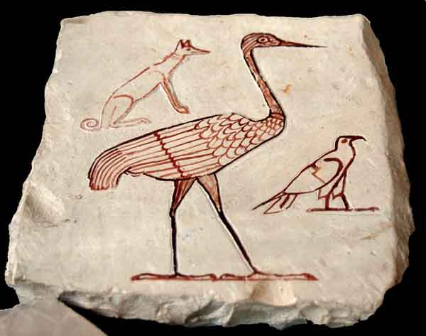 awww.ancient_egypt.co.uk_cairo_20museum_cm__20vases_images_egpytian_museum_cairo_9003.jpg