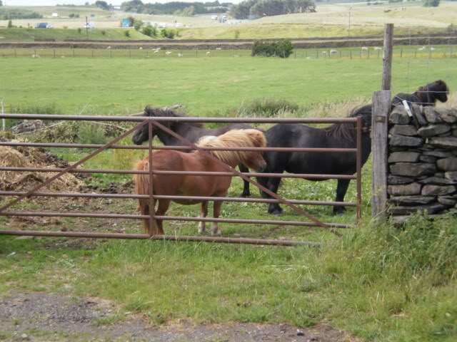 ai114.photobucket.com_albums_n244_pitcoupe_scotland_P7020017.jpg