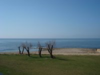 DSC05166.jpg