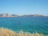 100_5794.JPG