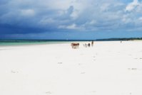 diani 2.JPG