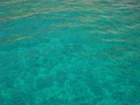 DSC05421.jpg