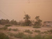 DSCN2271.jpg