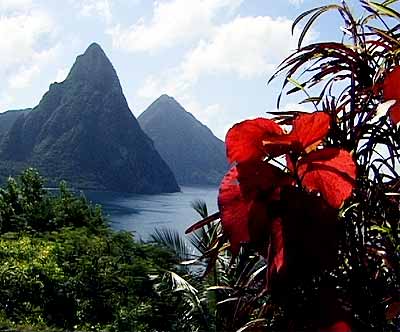 awww.mystlucia.org_images_gen_pages_info_pitonbig.jpg