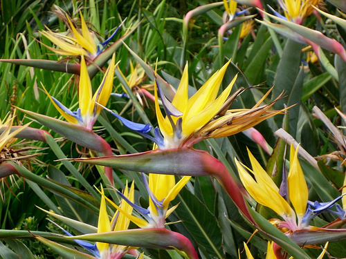 afarm8.staticflickr.com_7166_6576434615_1c9840e805.jpg afarm8.staticflickr.com_7166_6576434615_1c9840e805.jpg